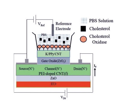 Schematic diagram of cholesterol ENFET