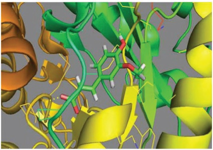 The structural overlay of docked compound receptor (ferulic acid)) and ligand human α- glucosidase