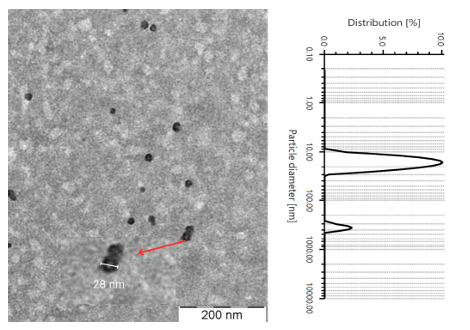 Particle size obtained by transmission electronic microscope (TEM) (left) and dynamic : Particle size obtained by transmission electronic microscope (TEM) (left) and dynamic Particle size obtained by transmission electronic microscope (TEM) (left) and dynamic light scattering (DLS) (right)