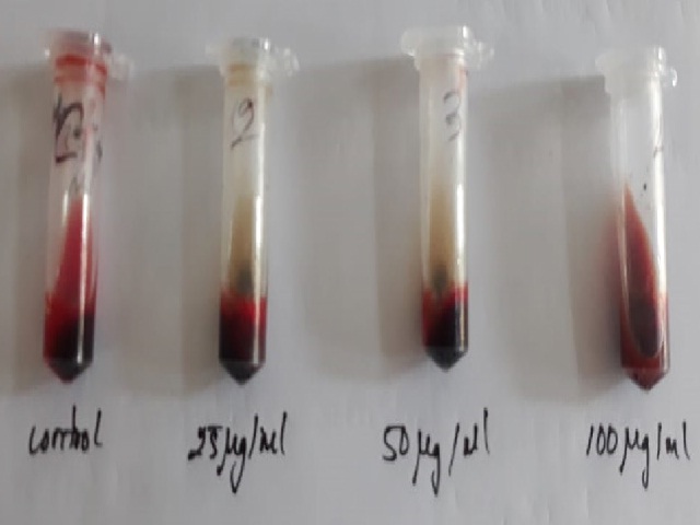 Clot lysis activity of isolated compoundTable