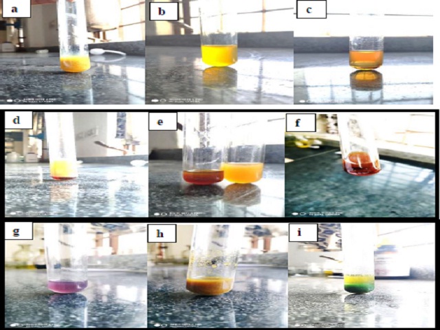 Anti-diabetic activity by invitro inhibition of α-amylase enzyme and phytochemical screening of Phyllanthus niruri.