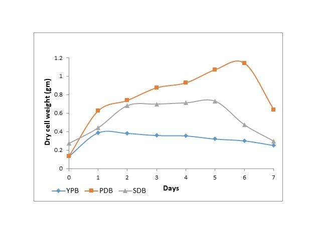 Growth of Aspergillus ochraceus in three different culture media