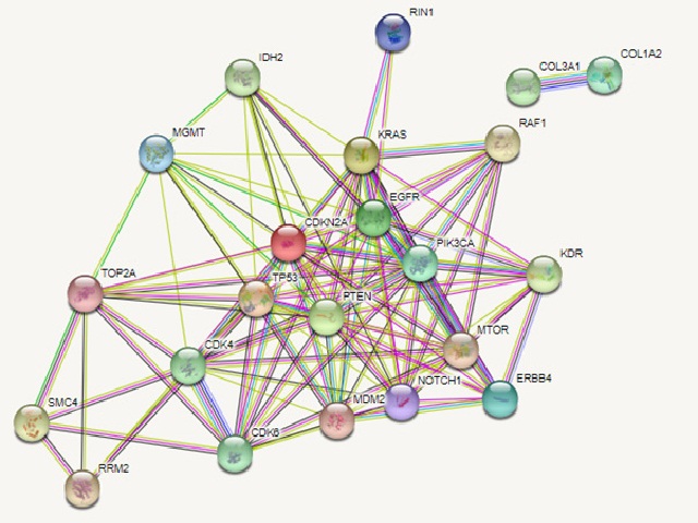 Network of input protein as obtained by STRING database