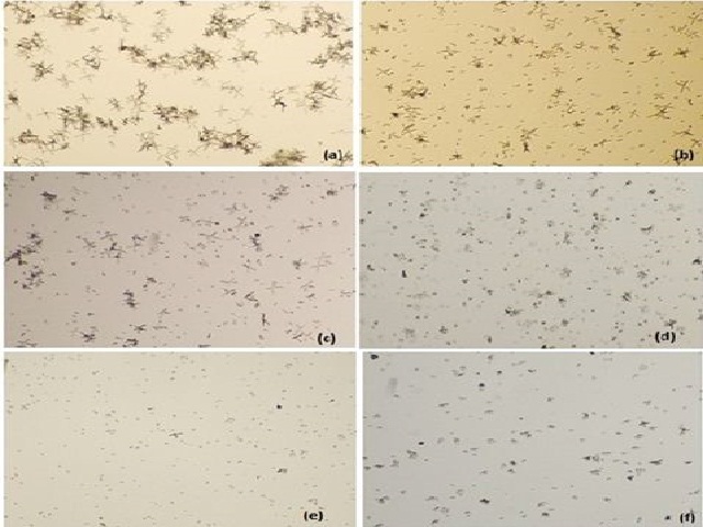 icroscopic analysis of CaOx crystal nucleation a—Control, b-1 mg/ml, c-2 mg/ml, d-4 mg/ml, e-6 mg/ml and f-8 mg/ml) of OLE