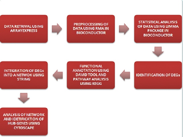 The workflow of the current study