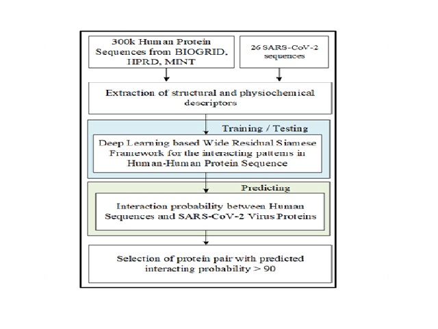 Proposed Workflow for the protein-protein interaction