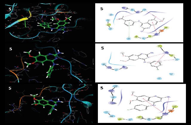 3D and 2D representation of H-bond interactions of quinazoline derivatives with caspase-9 (2AR9)