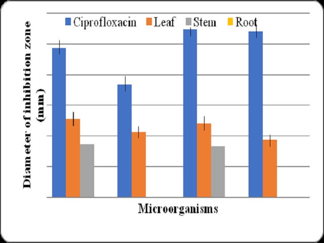 Antibacterial studies on the leaf, stem and root of I.notoniana Wall.