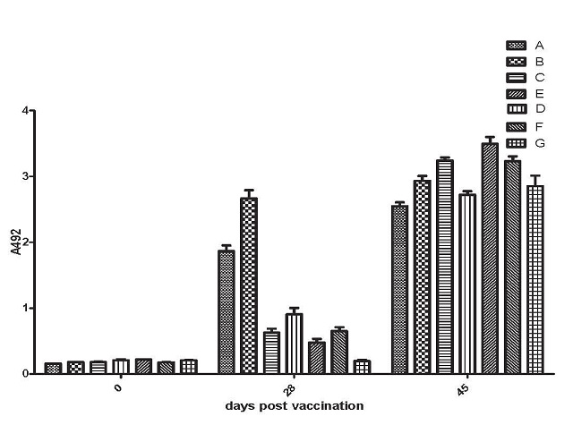 Mean OD values of FMD Type A specific IgG1 antibody response of various vaccinated groups of guinea pigs at different time intervals