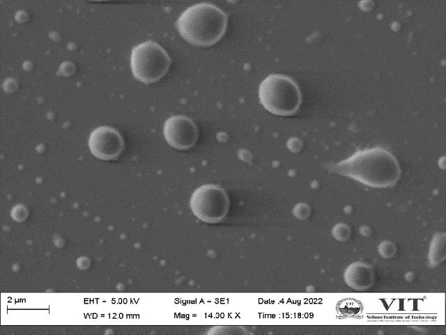 Scanning electron microscope image of resveratrol-laminarin encapsulated liposomes Fig. 5a: Comparison of in vitro release of resveratrol from liposomes ranging in concentrations of 25,