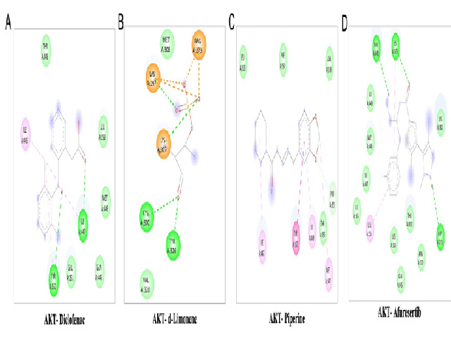 2D representation of the interaction between ligand molecules. a) Diclofenac, b