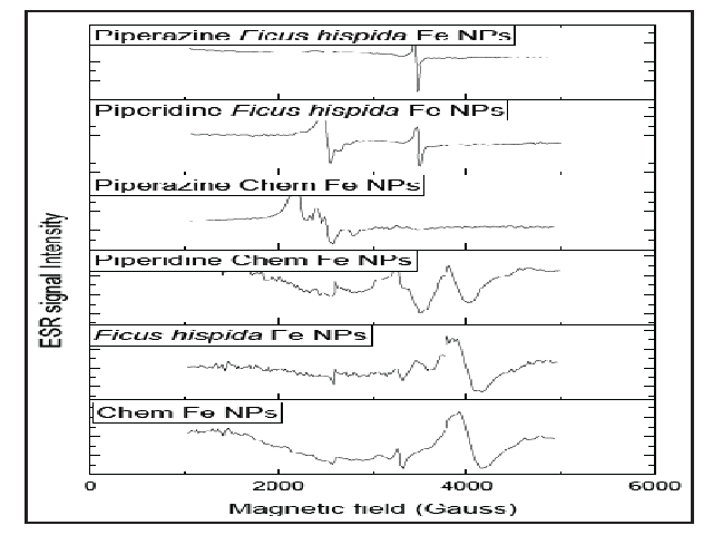ESR spectrum of the different Fe NPs.
