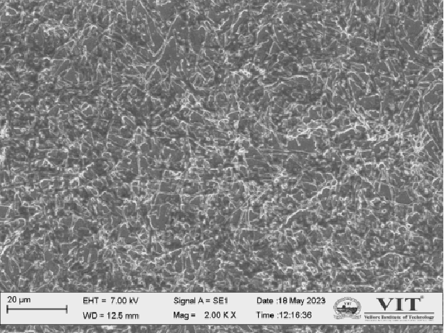 Visualization of biofilm (Qualitative assay) under SEM: a. Biofilm of L. acidophilus and b. P. syringae