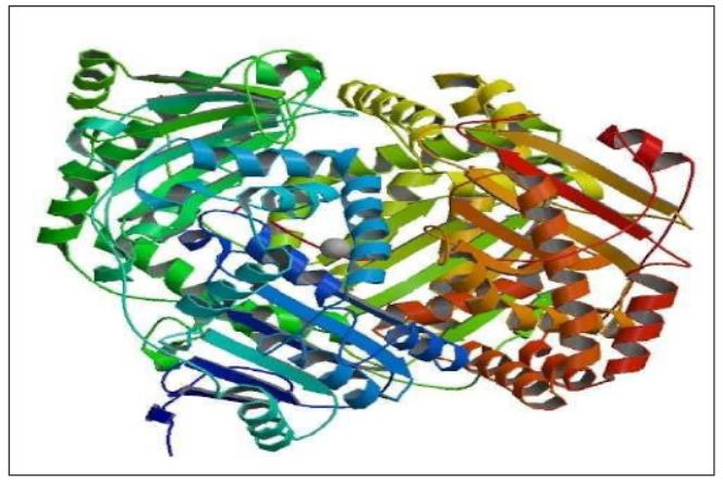 Structure of amyloid