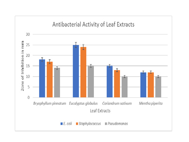 Representing the antibacterial activity of the leaf-extracts on E. coli, Staphylococcus au-reus, Pseudmonas aerogenosa.