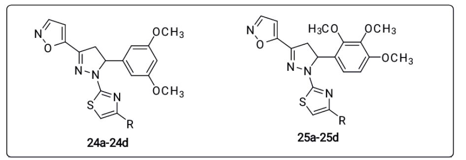 Antitubercular activity of pyrazoline clubbed thiazole hybrids