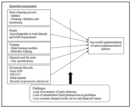  Proposed conceptual framework for important requirements and challenges in sertu  implementation in pharmaceutical industry 