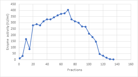 Purification of L-asparaginase from Aspergillus quadrilineatus ion exchange column chromatography fractions.