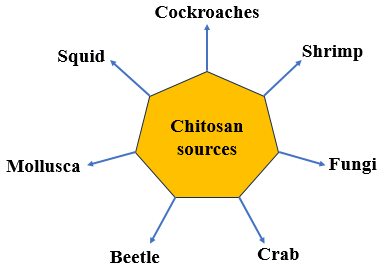 The most important sources of chitosan.