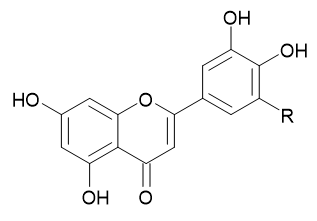 Chemical Structure of a flavonoid