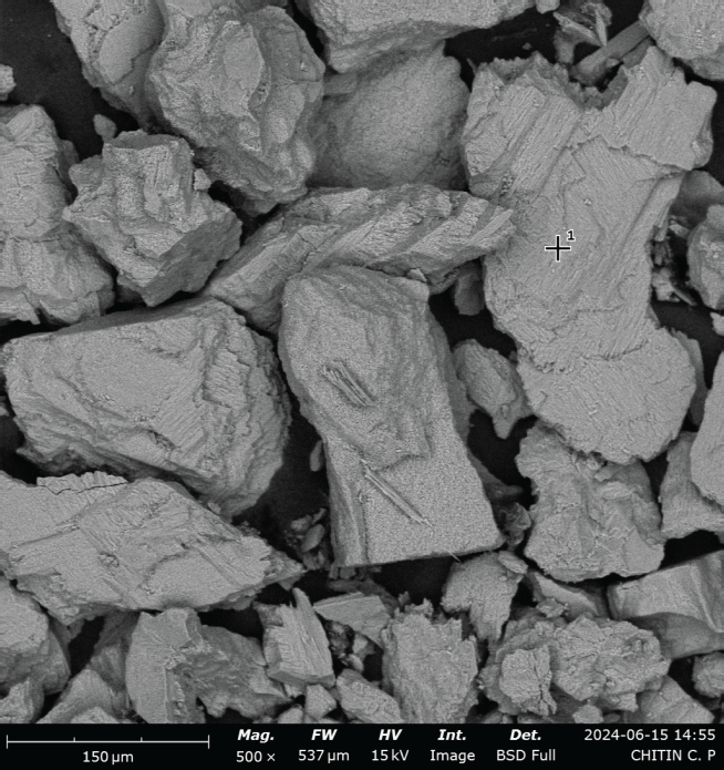 Chitin from Oyster Shells