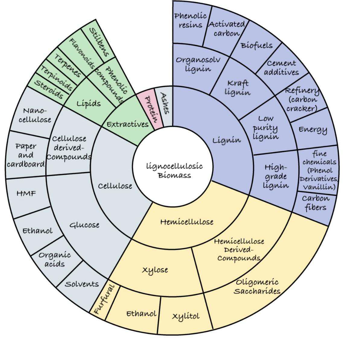 Processing of lignocellulosic biomass: primary fraction and product spectrum (Romaní et al., 2020)