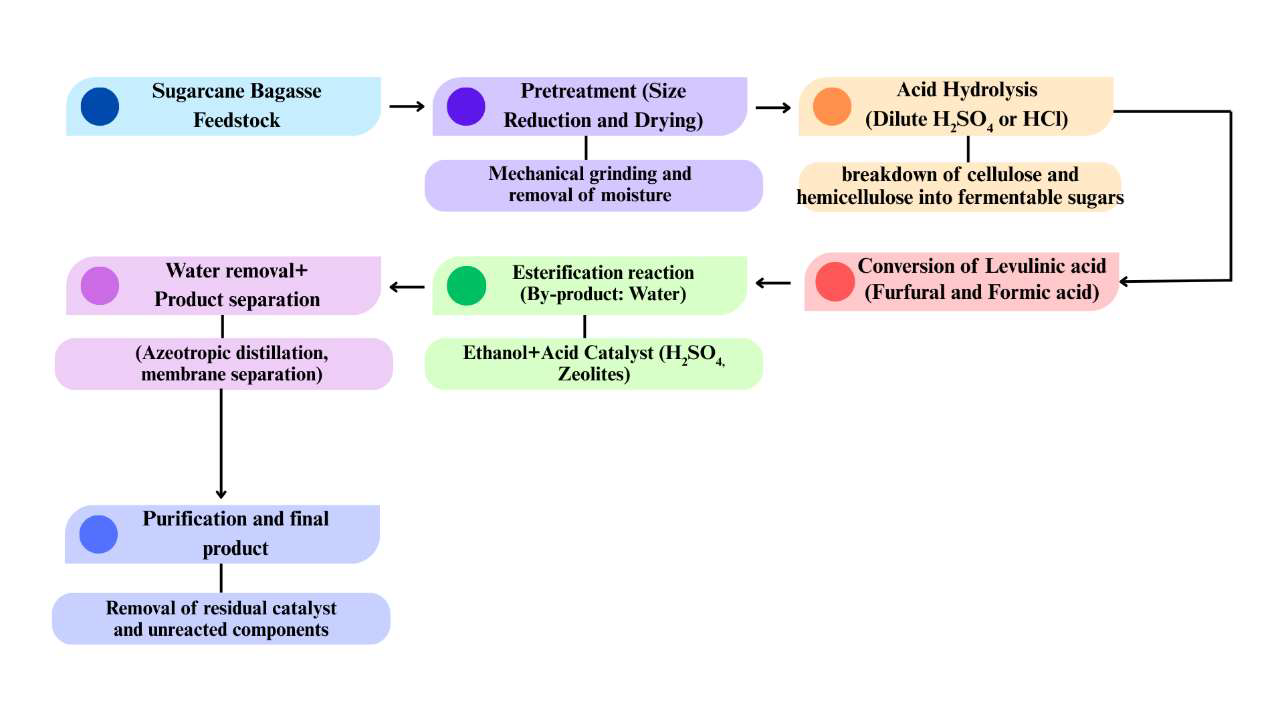 Flowchart of Ethyl Levulinate Production from Sugarcane Bagasse – A schematic representation of the conversion process of sugarcane bagasse into ethyl levulinate, outlining key steps including pretreatment, acid hydrolysis, levulinic acid conversion, esterification, and final purification.