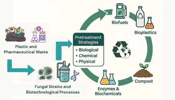 Graphical Abstract