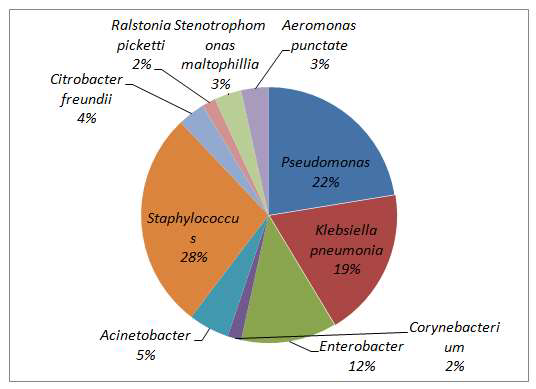 A pie chart showing % bacterial isolates obtained from surface water, ground water and waste water samples of Pharmaceutical industries in South India.