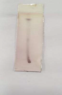 Thin layer chromatography showing alkaloid spots in Lippia nodiflora acetate extract