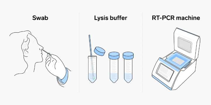 RT-PCR assay