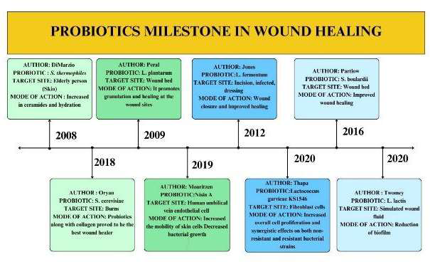 Breakthroughs in wound healing process using probiotics