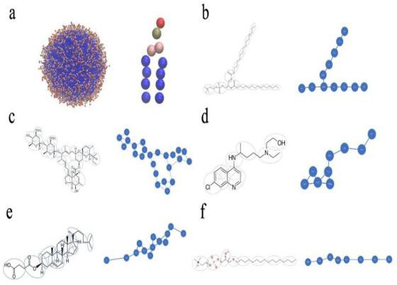 (a) Coarse-grained design of phos- phatidylcholine and its formation as a liposome. (b) Coarse-grained modeling of phosphatidyl- choline, (c) Ivermectin, (d) Hydroxychloroquine, (e) Cholesteryl hemisuccinate, and (f) Lyso phosphatidylcholine.