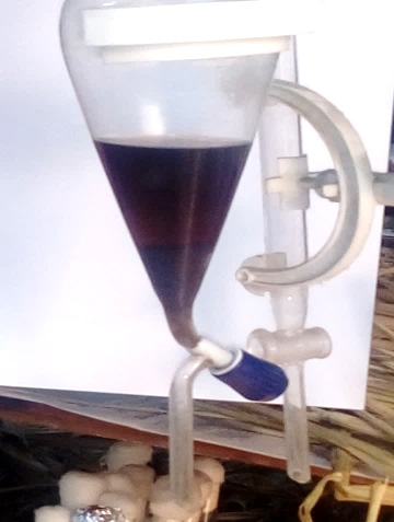 Glycerol and Biodiesel layers