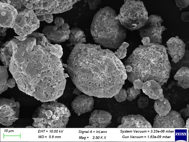 The porous nature is demonstrated the NSPs