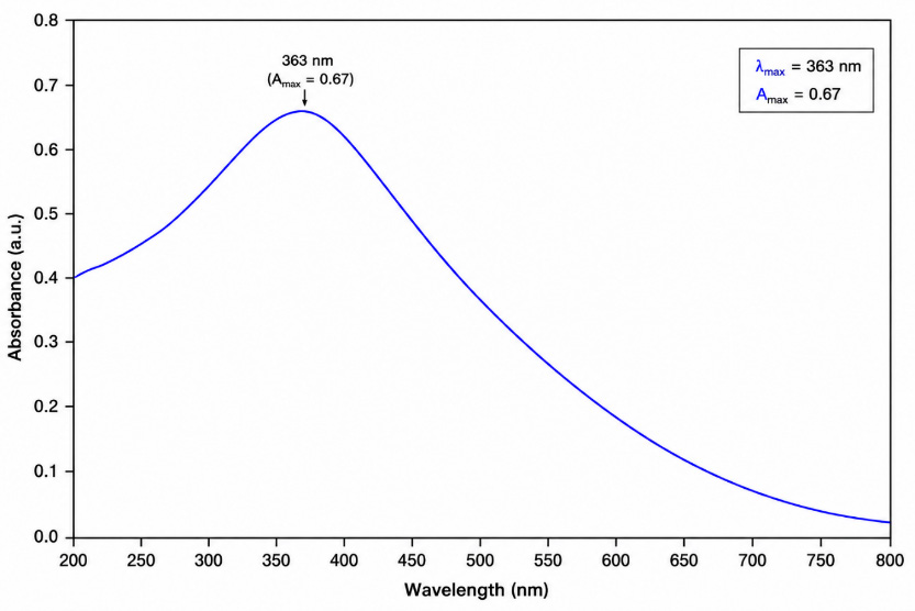 UV–Visible absorption spectrum of green synthesized selenium nanoparticles (SeNPs) using Hibiscus rosa-sinensis leaf extract showing a characteristic absorption peak at 363 nm confirming the formation of selenium nanoparticles