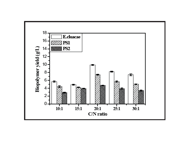 Effect of C/N ratios on biopolymer yield
