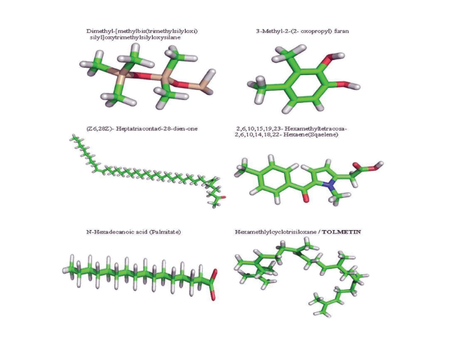 3D structure of the Ligand co-ordinates