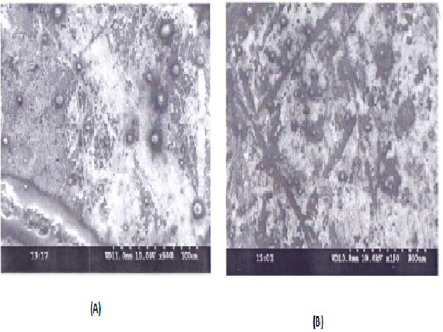 SEM images of Empagliflozin drug