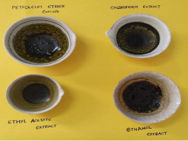 Preliminary Characters of Various Extracts of Erygium Foetidium Linn.