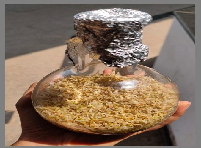 Shade dried Neem flowers soaked in ethanolic extract in round bottomed flask