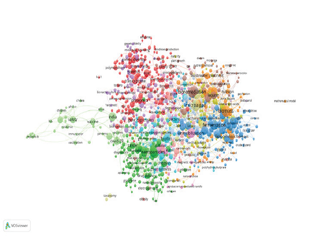 Keyword network