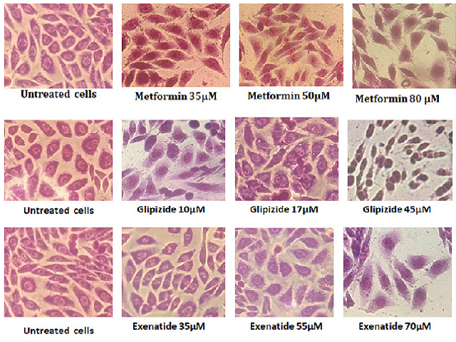 Dose-dependent morphological alteration