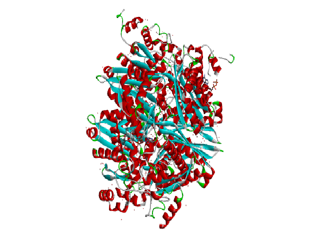 Complex of the catalytic portion of hu-man HMG-COA reductase with compactin (also known as mevastatin)