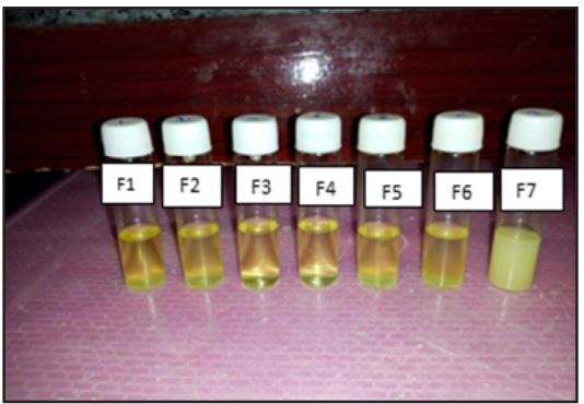 Morphological Properties of PXM liquid Fill Formulations (0-6 months)
