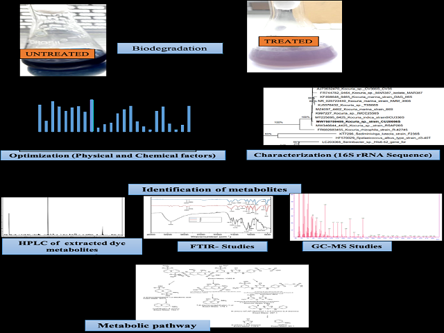 Graphical Abstract