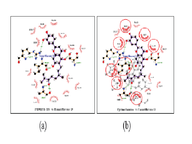 Two-dimensional visualization of molecular interactions in the docking complex of Tanariflavanone D with PfDHFR-TR enzyme