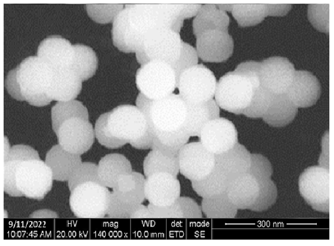 SEM Image of formulation F7 (Mupi-rocin loaded niosomal gel)