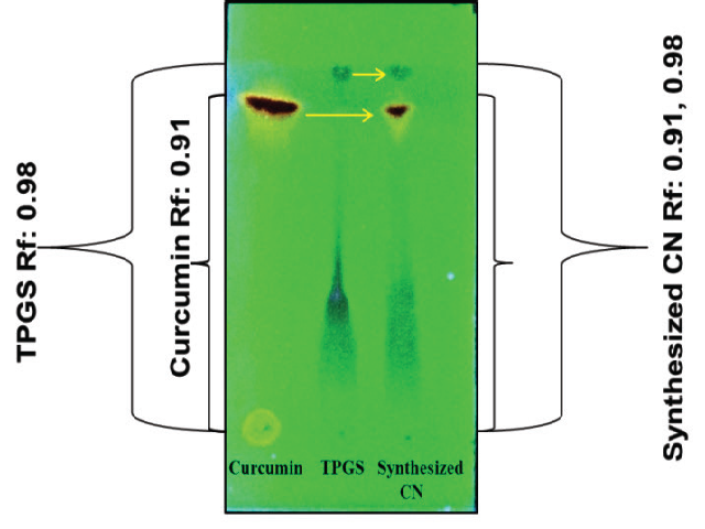 TLC chromatogram of the curcumin, TPGS, and synthesized curcumin nanoformulation (CN) with Retention factor (Rf) values